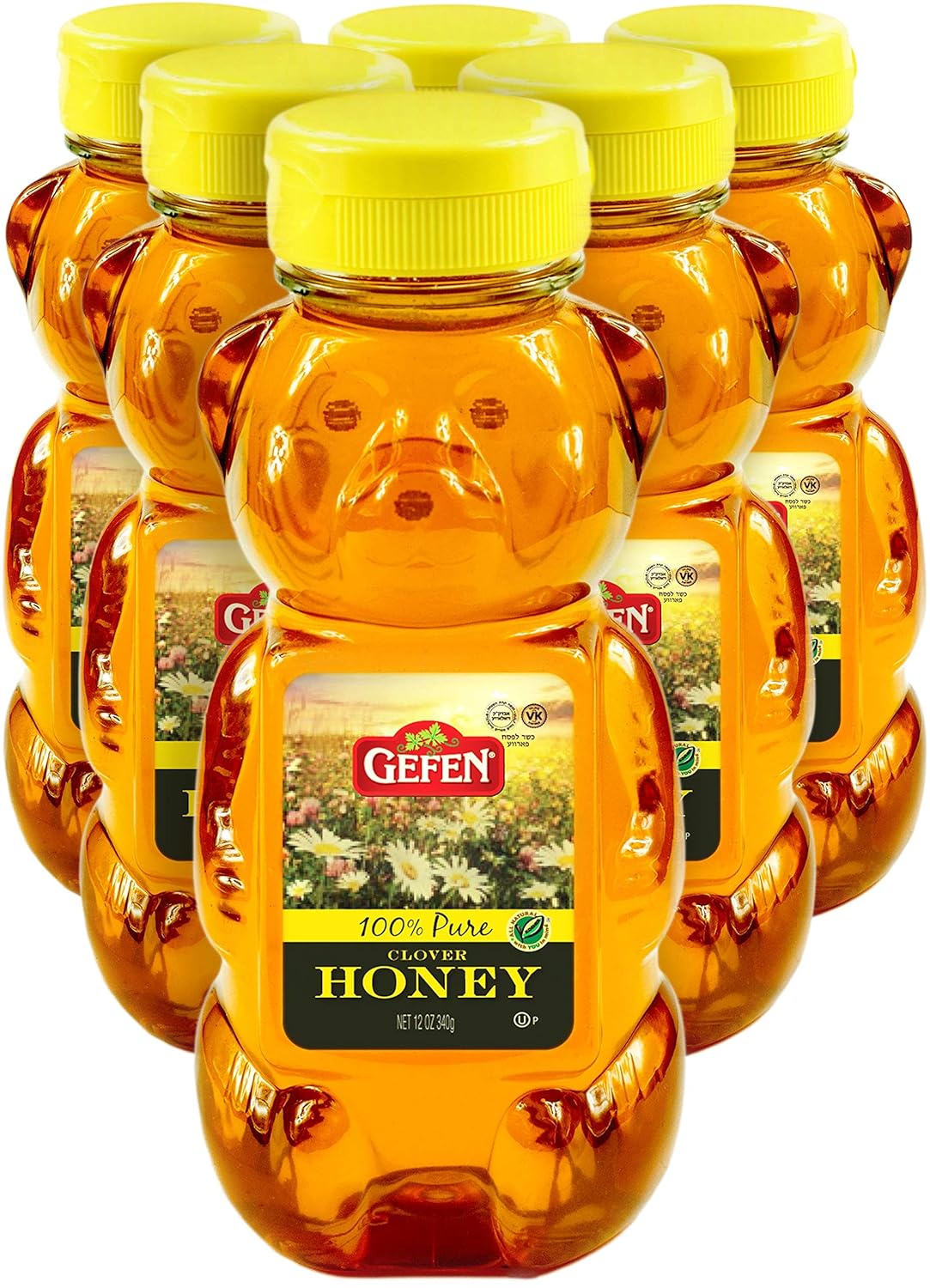 Pantry Honey Bear Squeeze Bottle